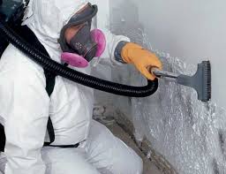 Best Black Mold Removal  in Oregon, OH